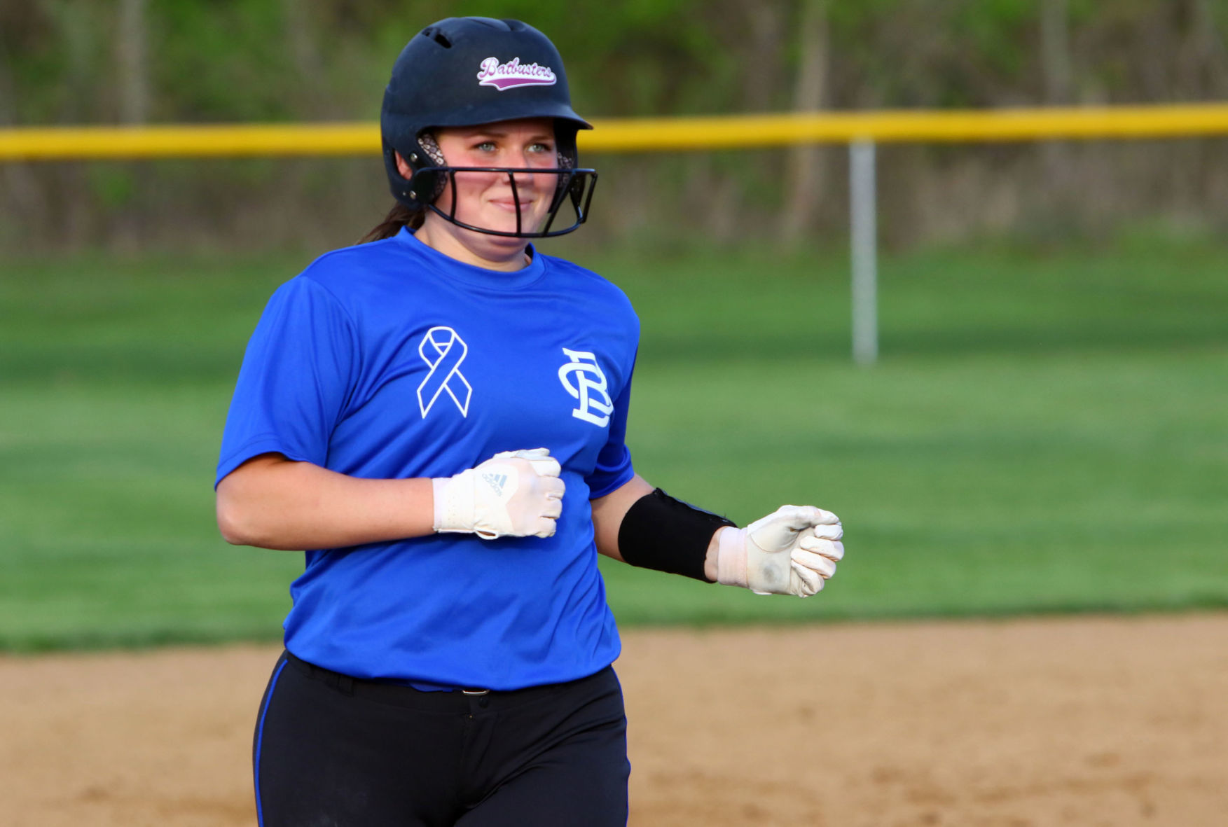 Boone Grove at Wheeler softball